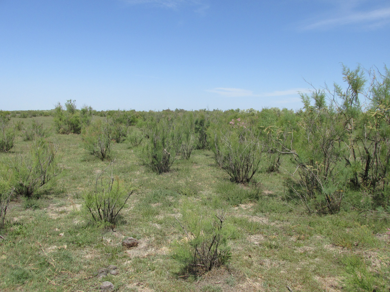 Аграханский залив, image of landscape/habitat.