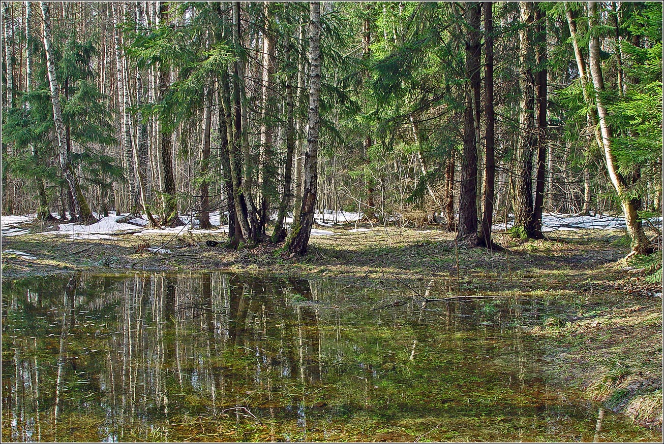 Хрипань, image of landscape/habitat.