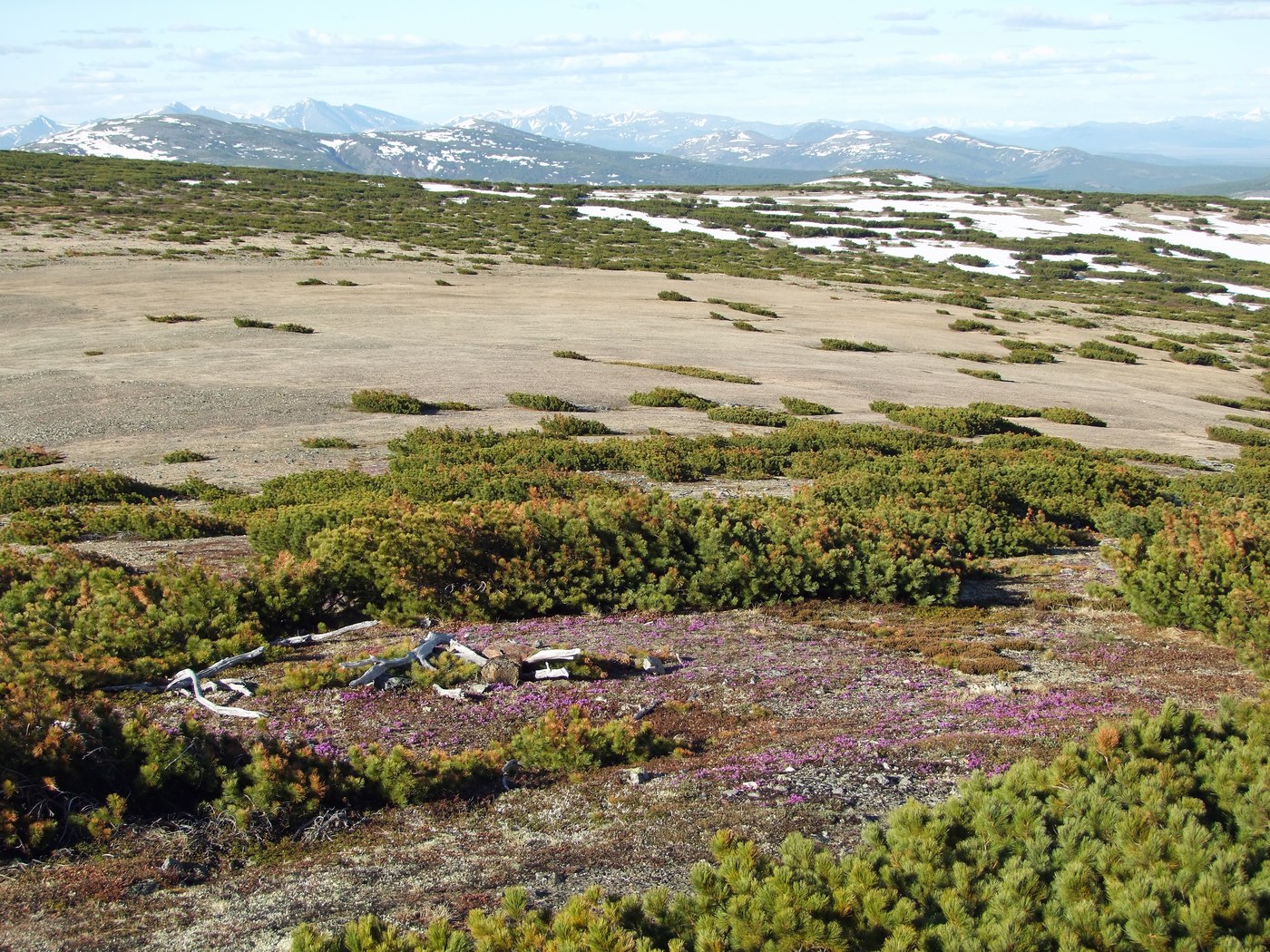 Водораздел Дукчи и Омчика, image of landscape/habitat.