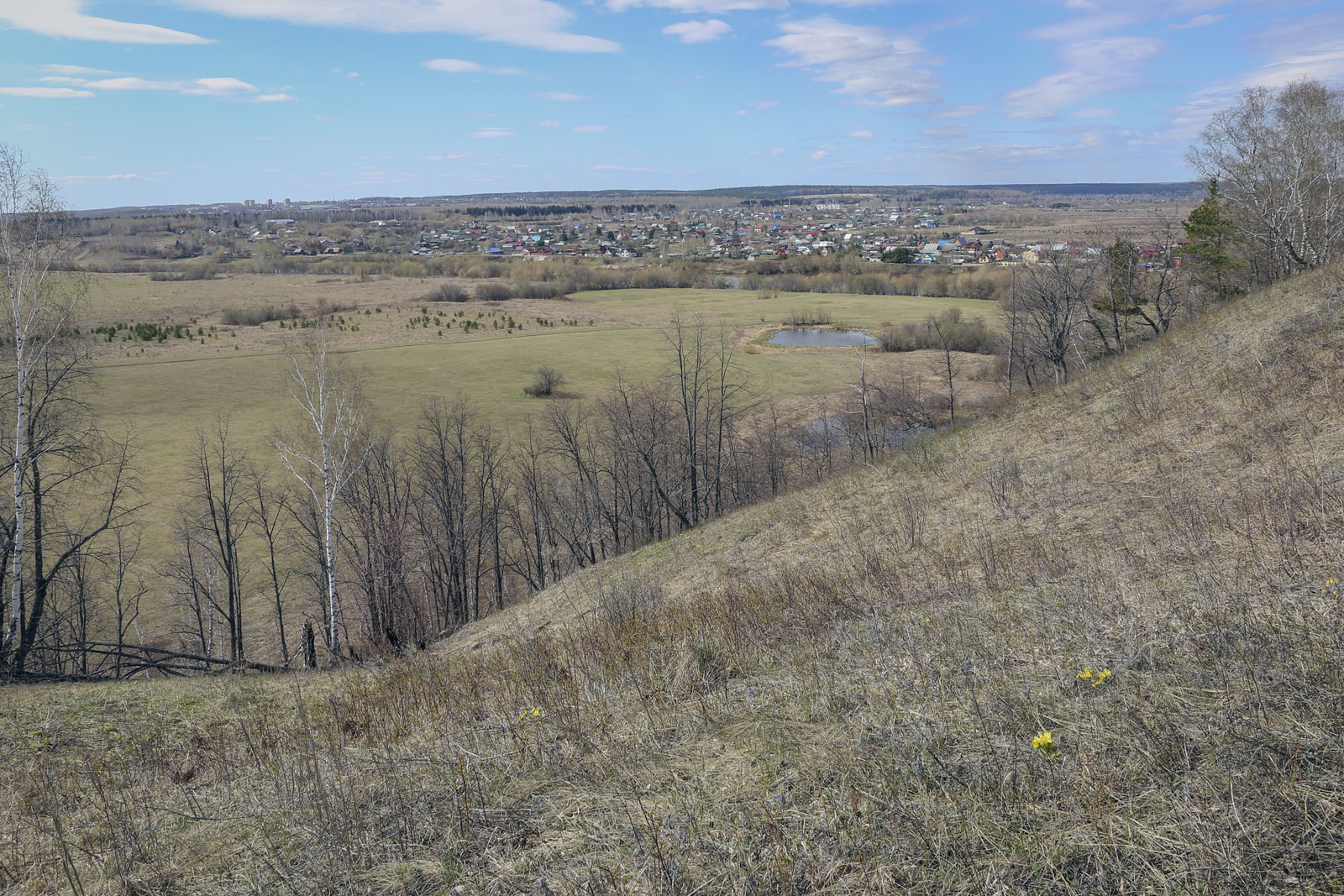 Спасская гора и её окрестности, image of landscape/habitat.