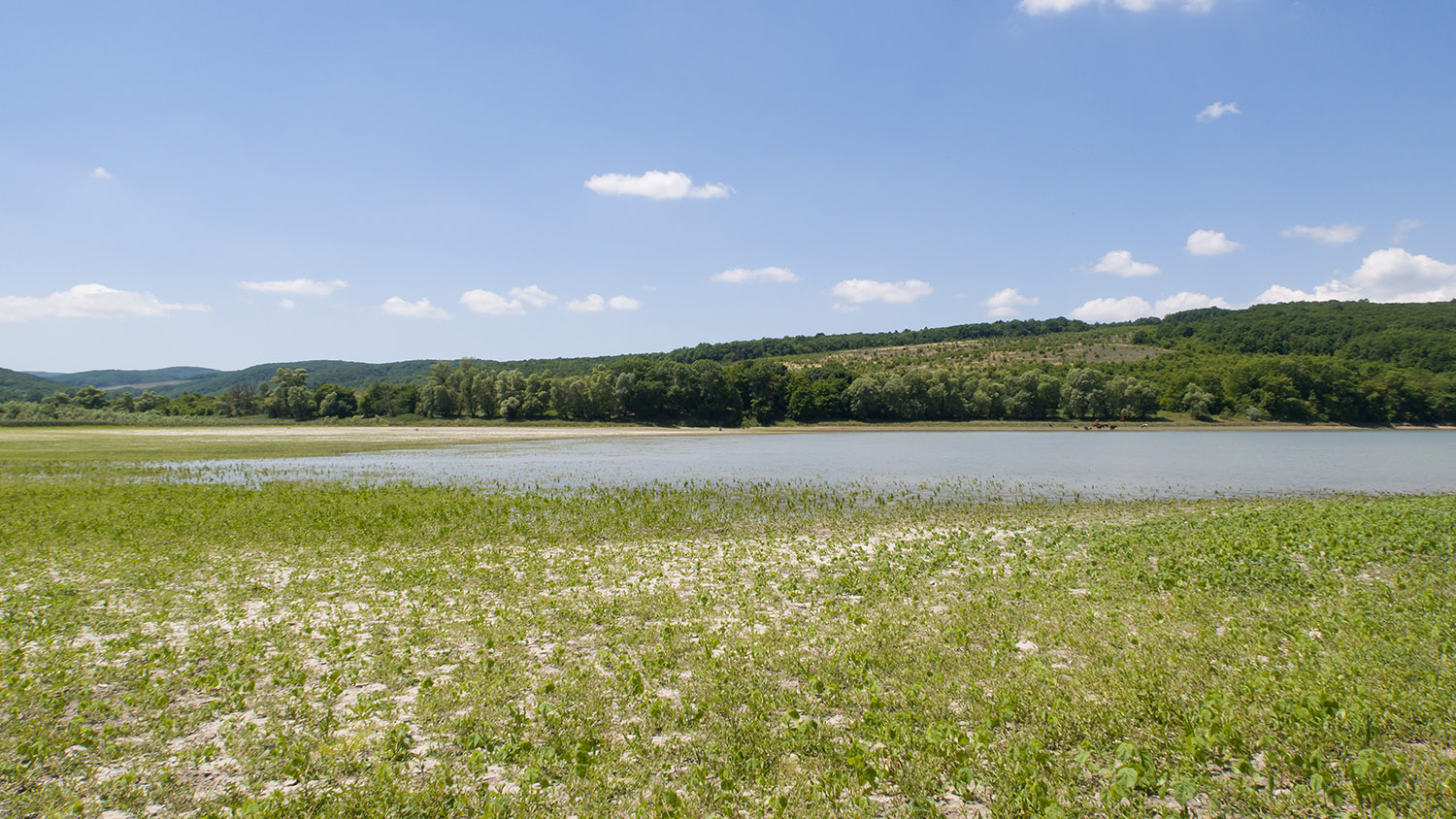 Красный Псебепс, image of landscape/habitat.