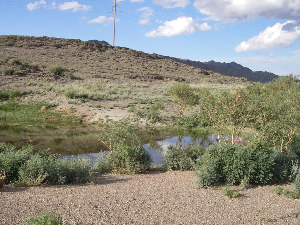 Горы Улькен-Богуты, image of landscape/habitat.