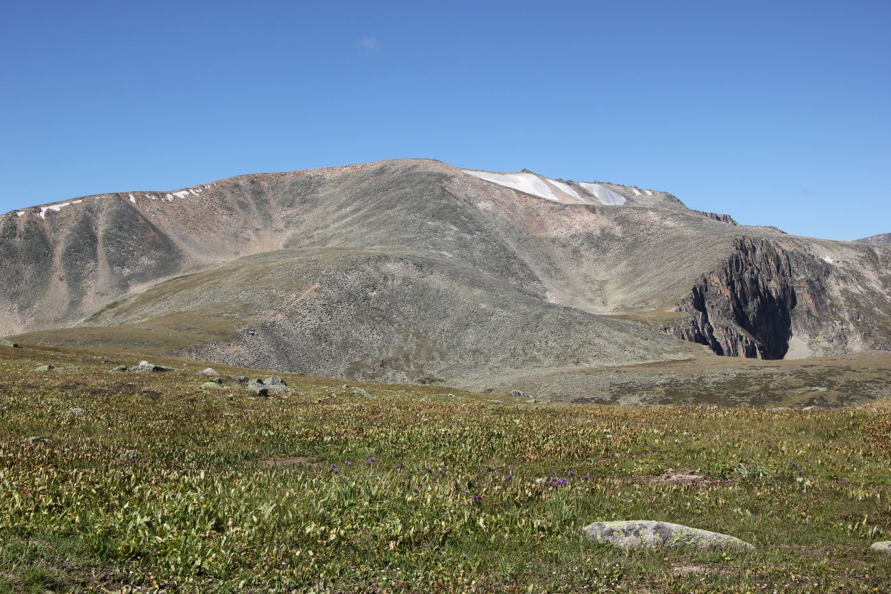 Перевал Тёплый Ключ, image of landscape/habitat.