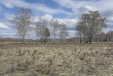 Спасская гора и её окрестности, image of landscape/habitat.