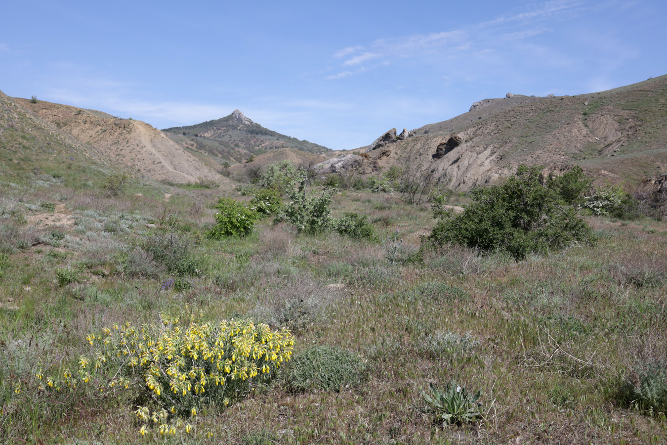 Лисья бухта, image of landscape/habitat.