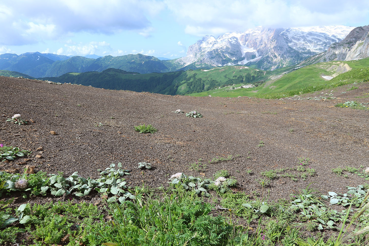 Южный склон горы Гузерипль, image of landscape/habitat.