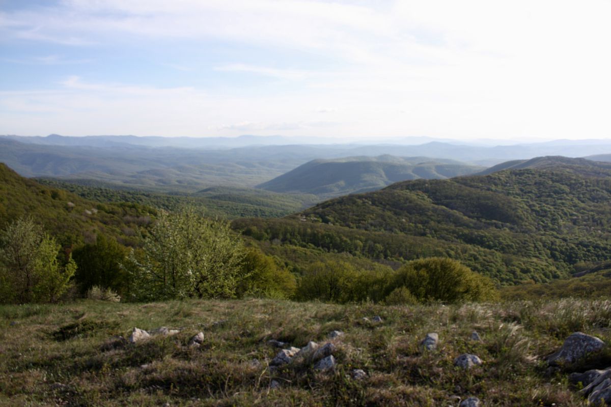 Нижнее плато Чатырдага, image of landscape/habitat.