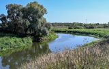 Долина реки Сестра, image of landscape/habitat.