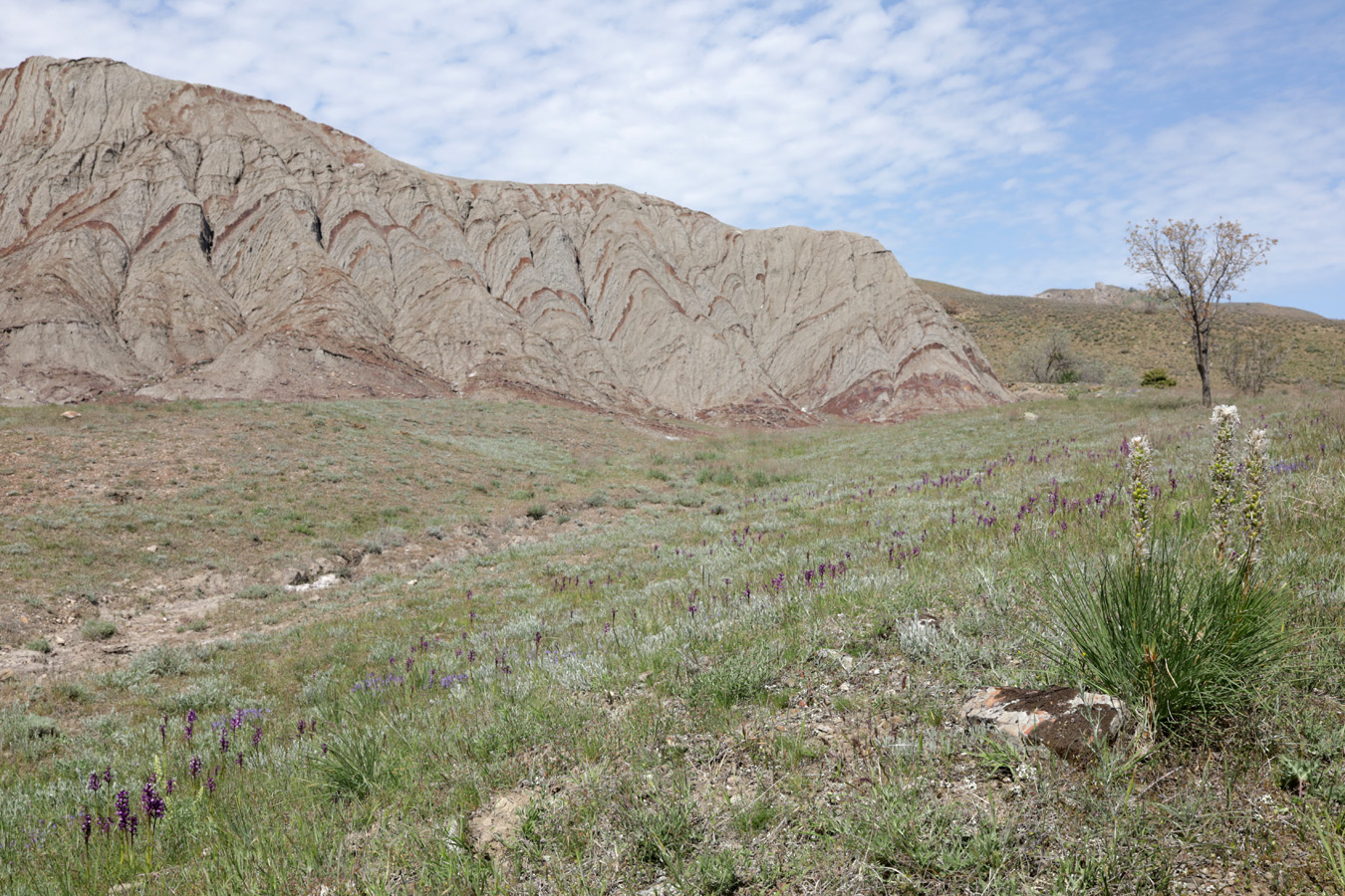 Лисья бухта, image of landscape/habitat.