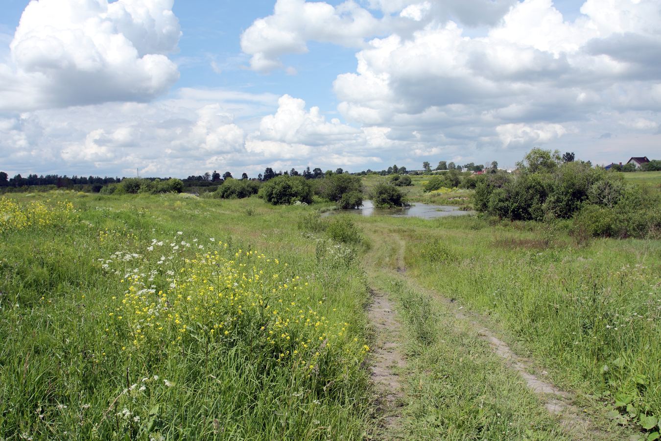 Окрестности Пудости, image of landscape/habitat.