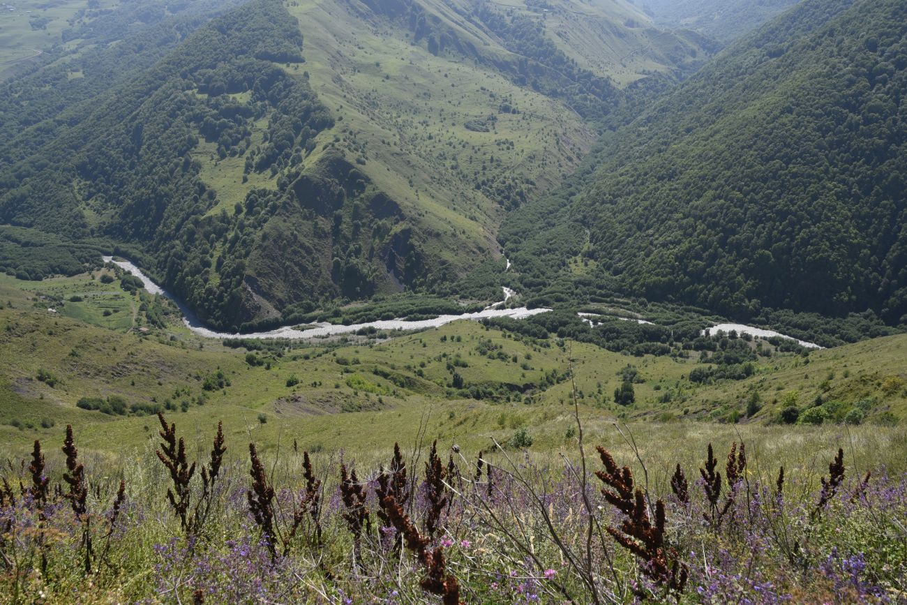 Устье Хашелдойакх, image of landscape/habitat.