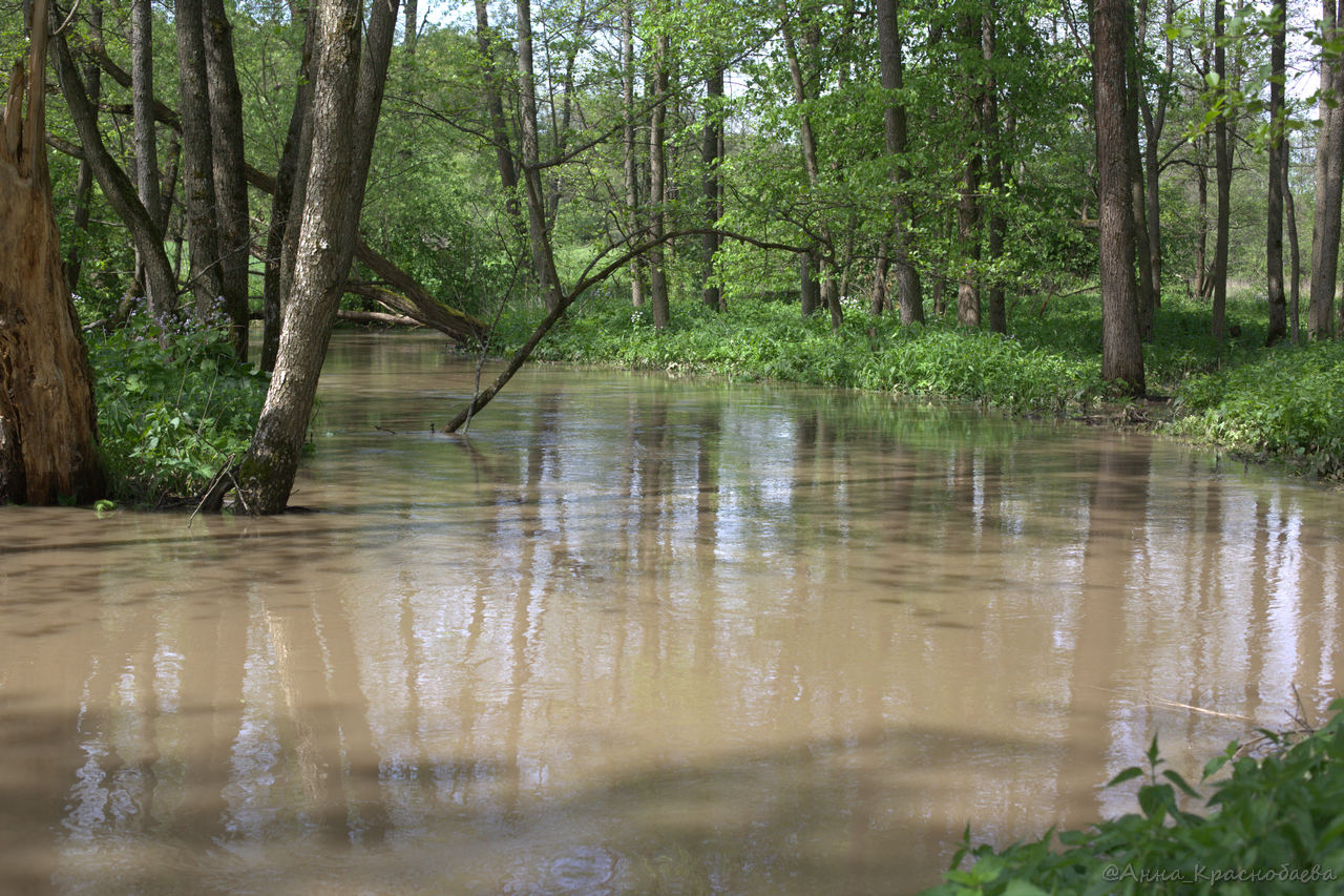 Дубна и окрестности, image of landscape/habitat.