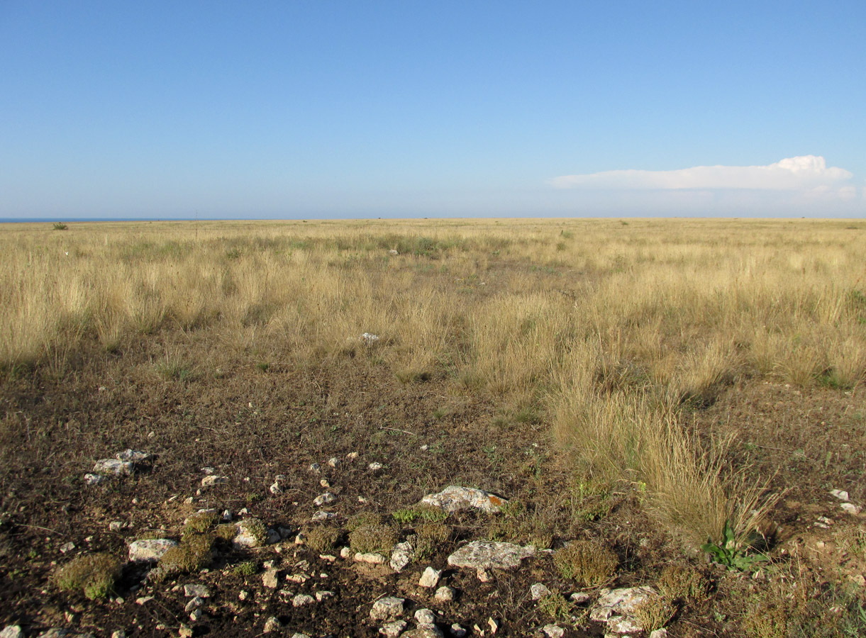 Большой Кастель, image of landscape/habitat.