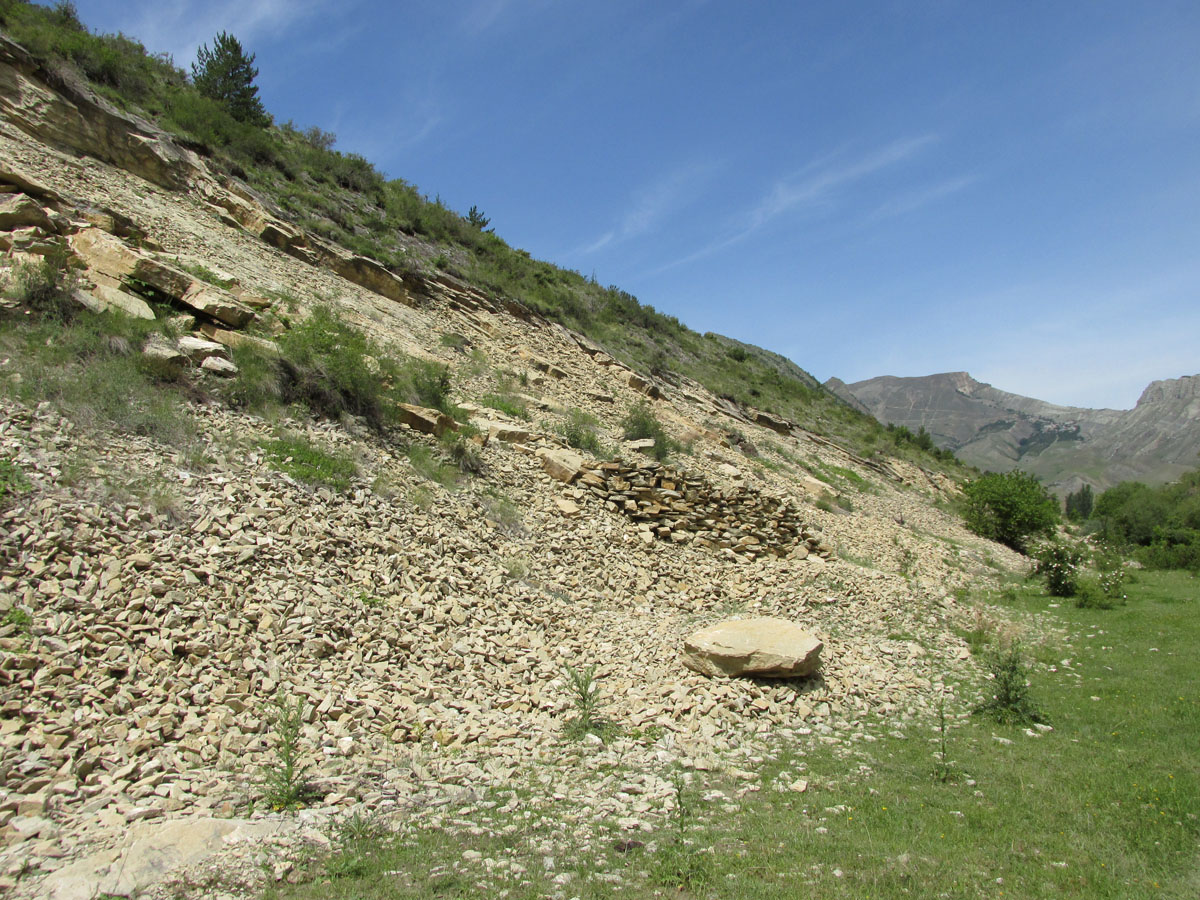 Цудахар (Горный ботсад и рядом), image of landscape/habitat.