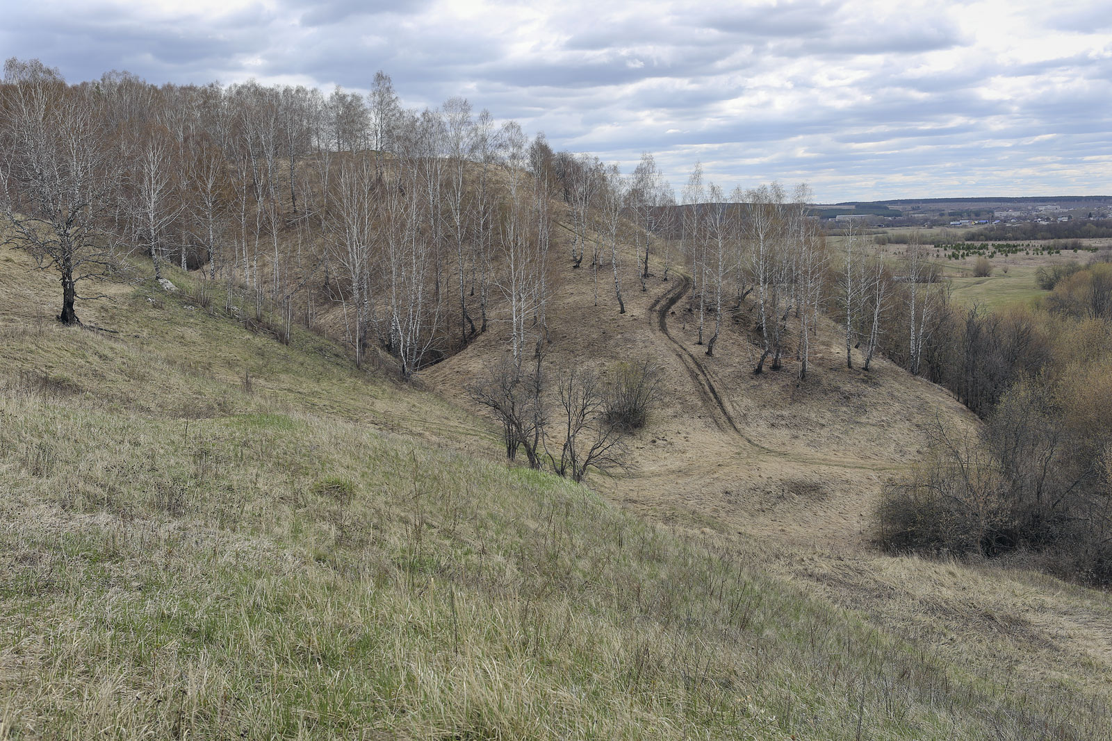 Спасская гора и её окрестности, image of landscape/habitat.