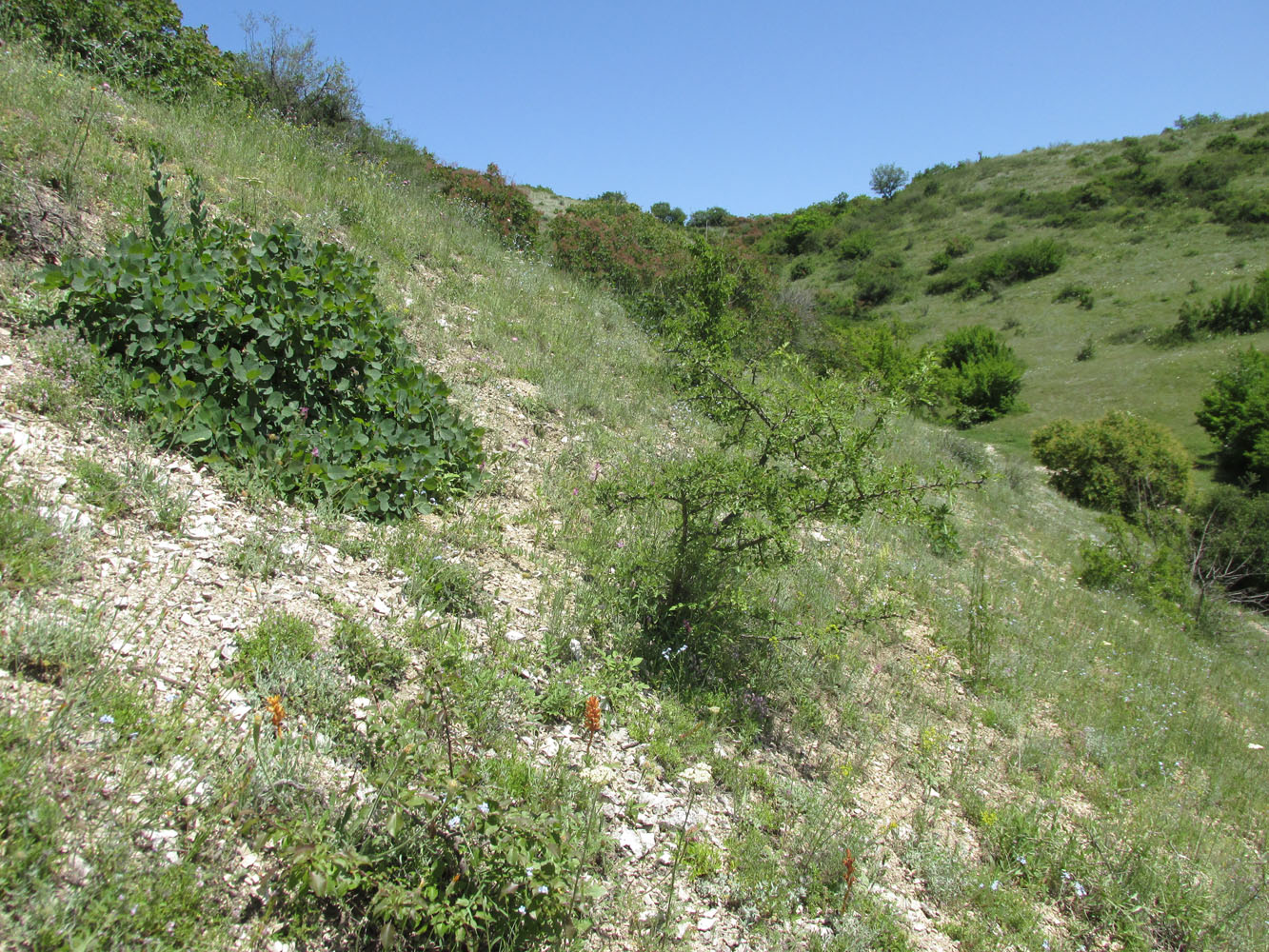 Окрестности села Губден, image of landscape/habitat.