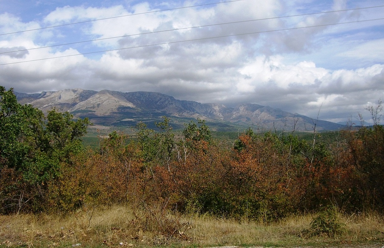 Малореченское и окрестности, image of landscape/habitat.