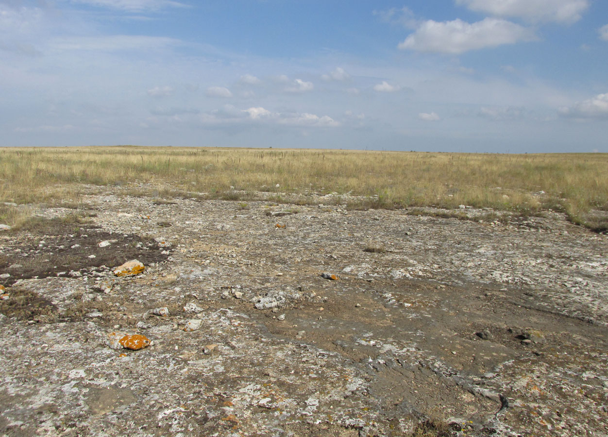 Большой Кастель, image of landscape/habitat.