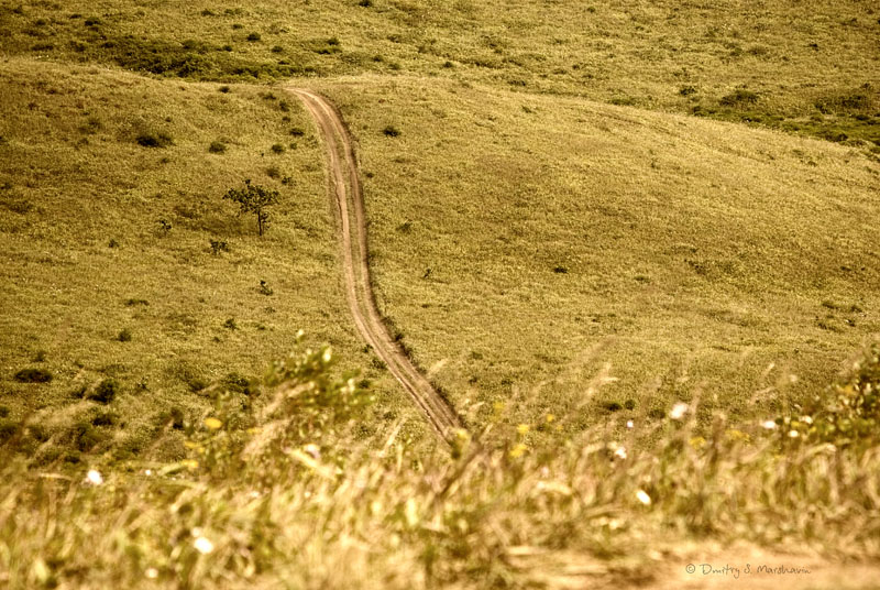 Полуостров Гамова, image of landscape/habitat.