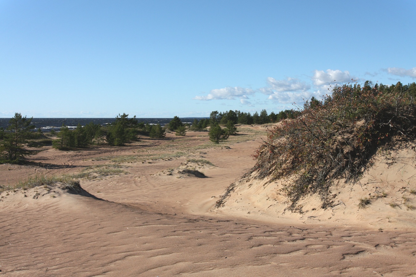 Устье Тулоксы, image of landscape/habitat.