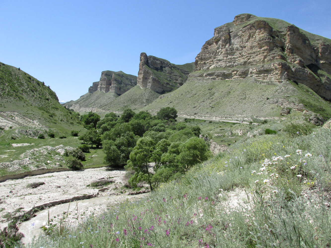 Долина реки Пулеувла, image of landscape/habitat.