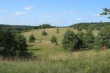 Image of landscape