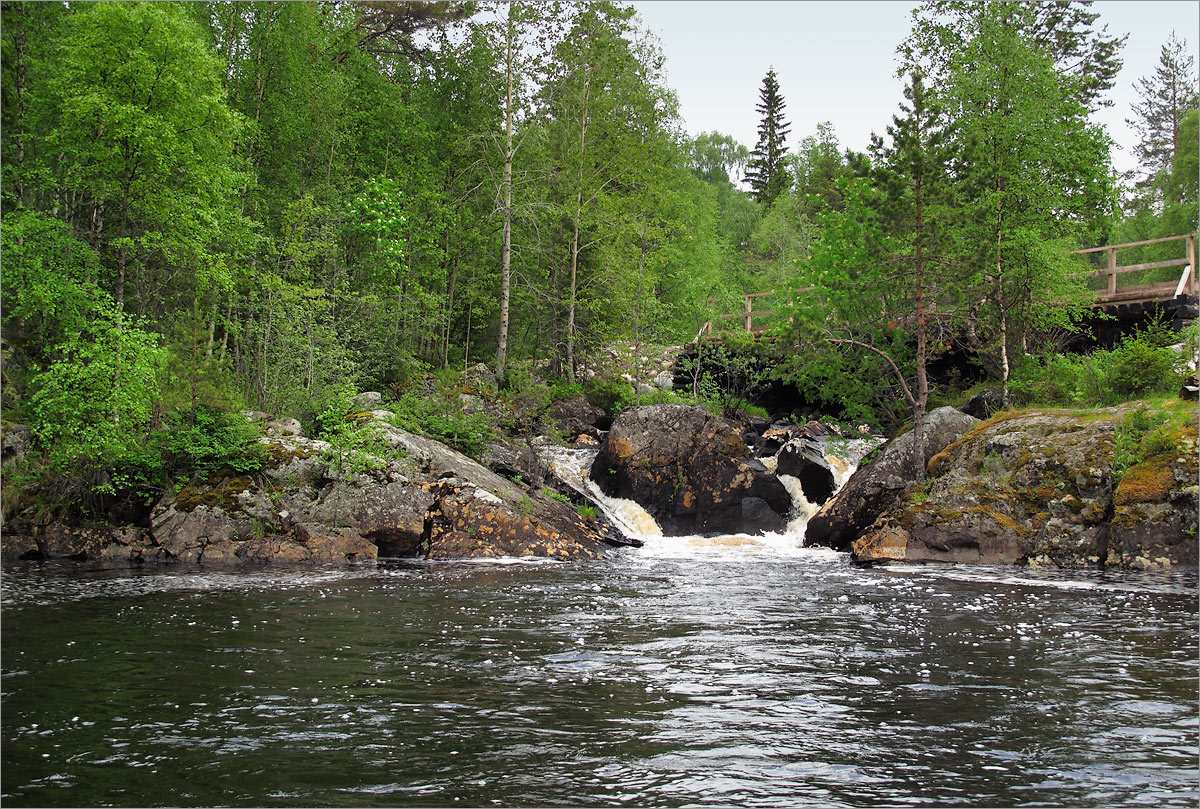 Сегозеро, image of landscape/habitat.