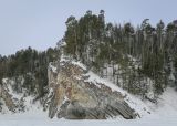 Камень Великан и его окрестности, image of landscape/habitat.