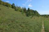 Image of landscape