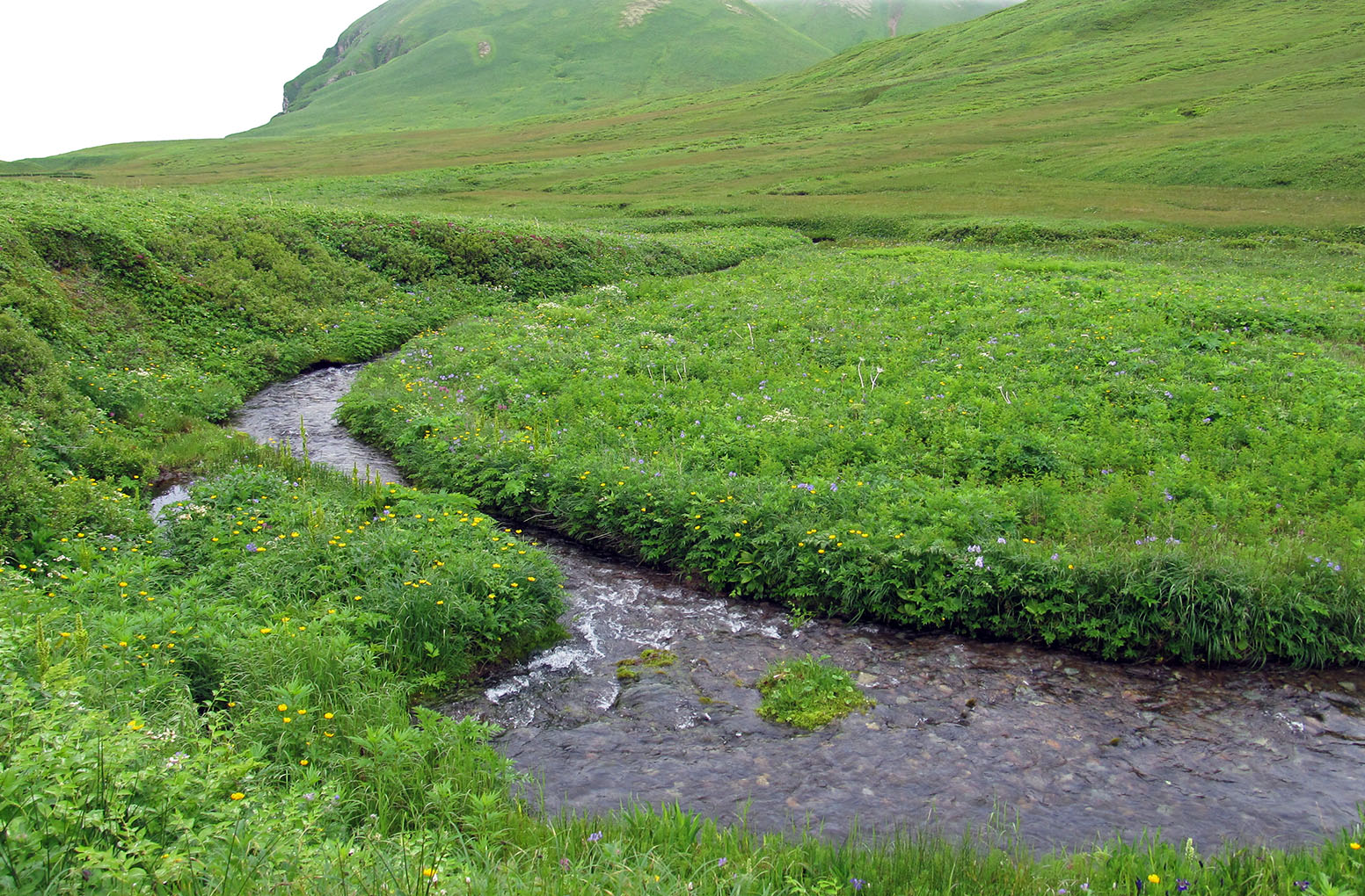 Остров Медный, image of landscape/habitat.