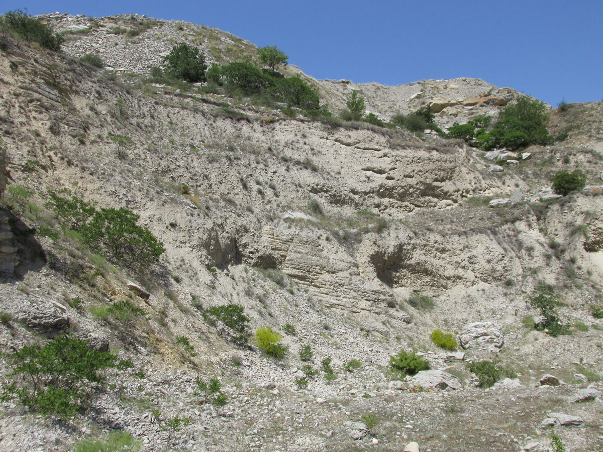 Талги, image of landscape/habitat.