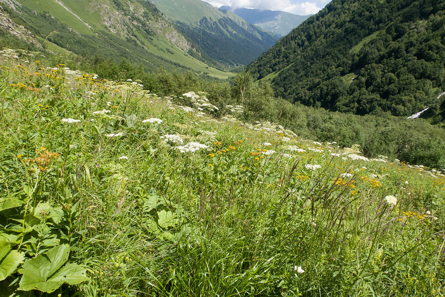 Большой Имеретинский водопад, image of landscape/habitat.