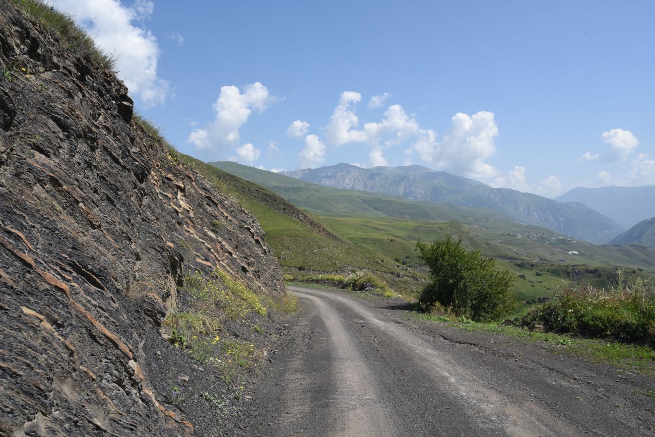 Шарой, image of landscape/habitat.