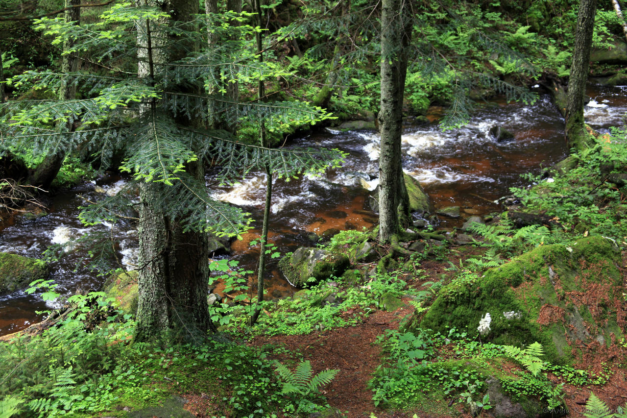 Vyšší Brod a Opatská stezka, image of landscape/habitat.