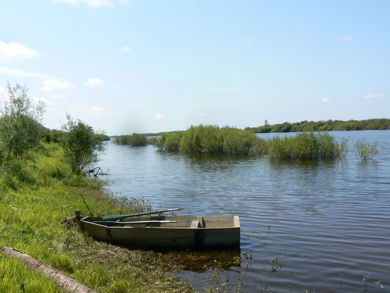 Невельское, image of landscape/habitat.