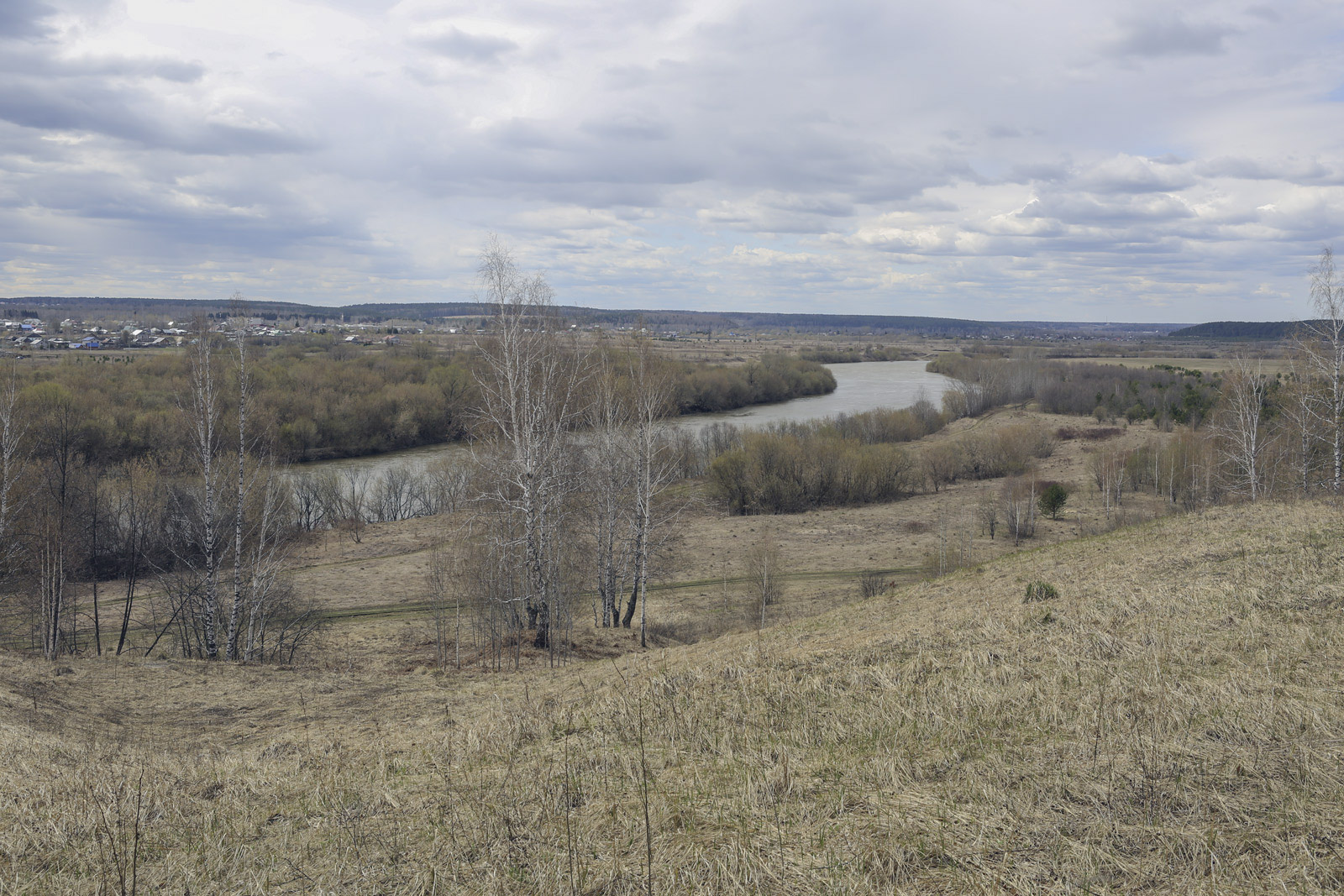 Спасская гора и её окрестности, image of landscape/habitat.