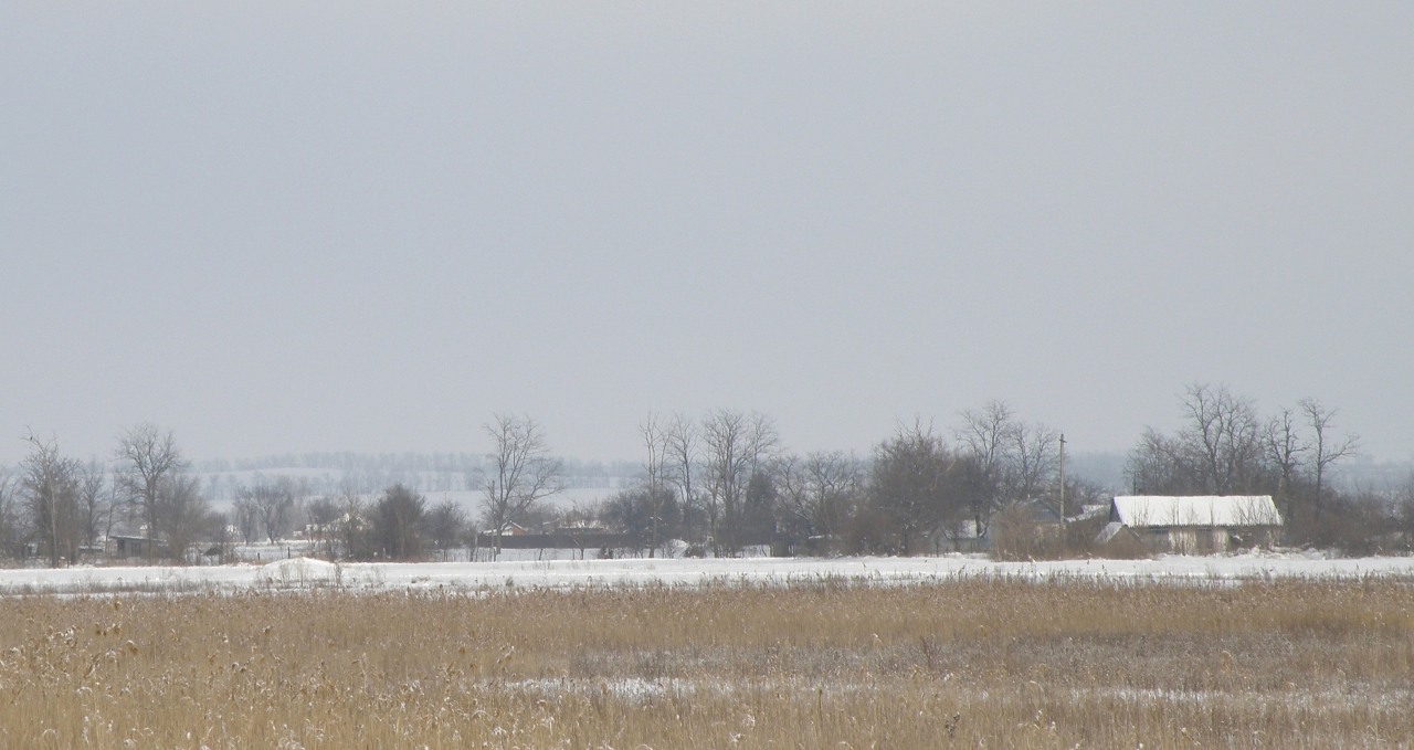 Станица Шкуринская, image of landscape/habitat.