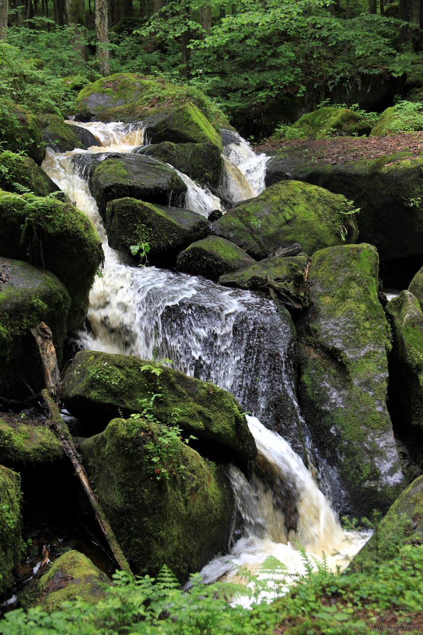 Vyšší Brod a Opatská stezka, image of landscape/habitat.