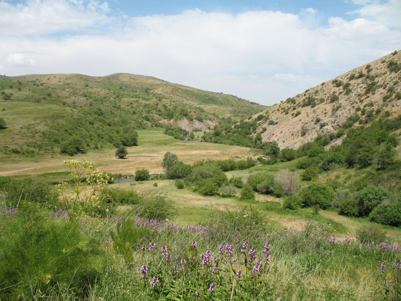 Уркумбайсай, image of landscape/habitat.