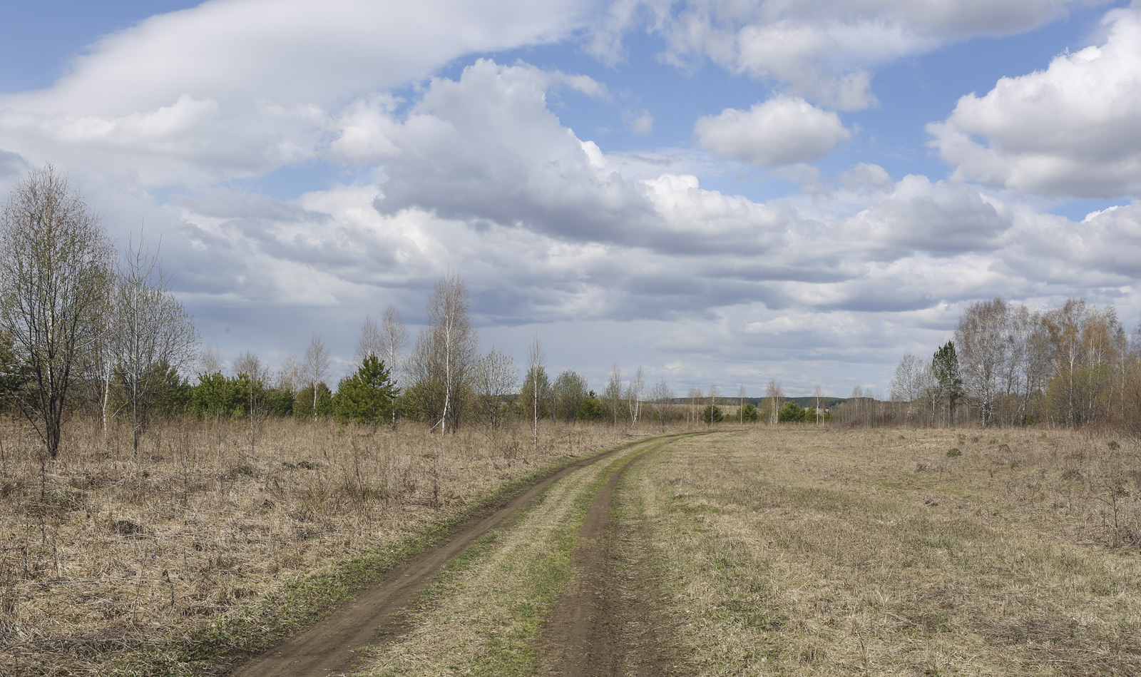 Спасская гора и её окрестности, image of landscape/habitat.