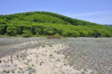 Окрестности села Валентин, image of landscape/habitat.