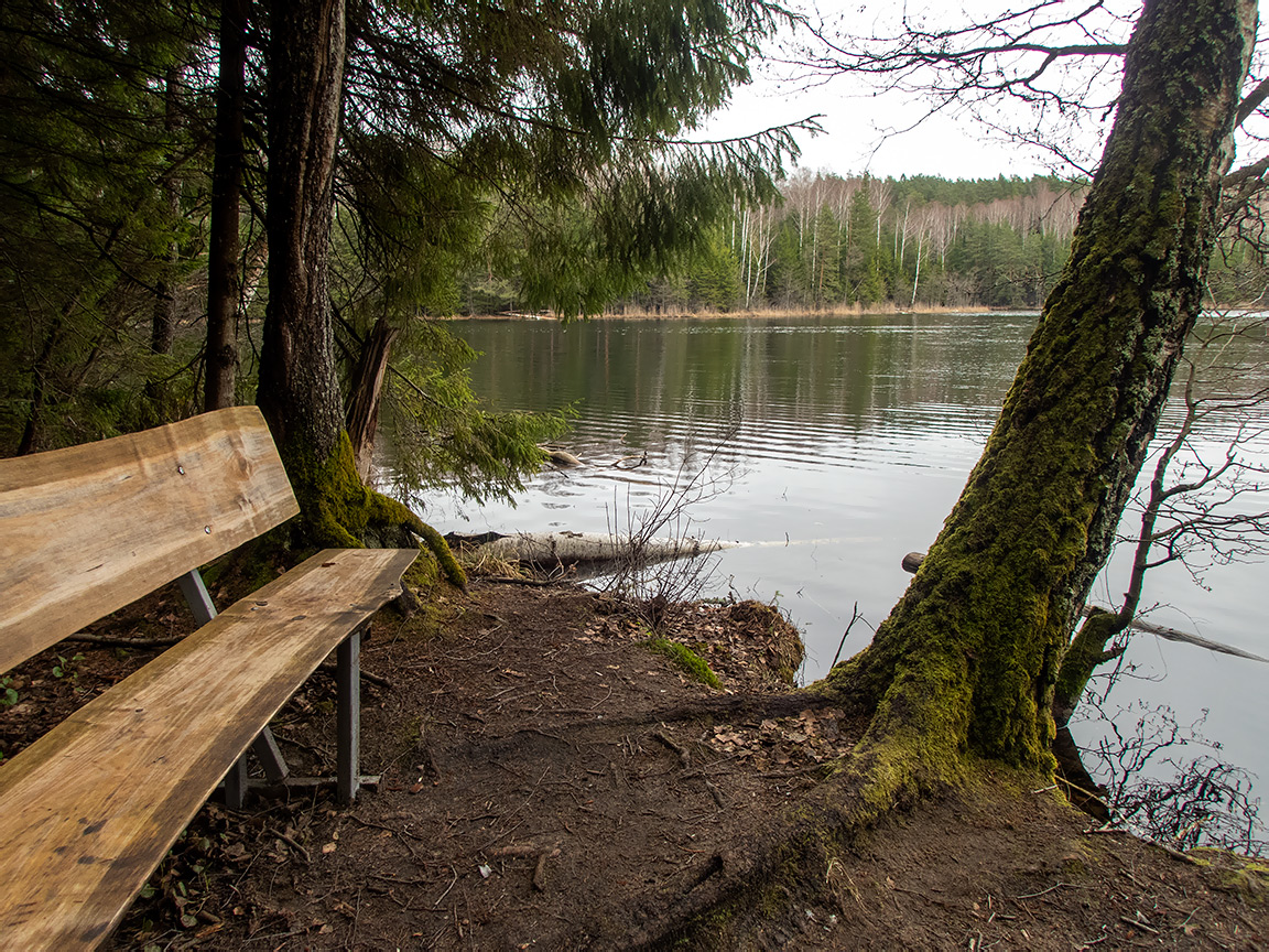 Заказник "Голубые озёра", image of landscape/habitat.