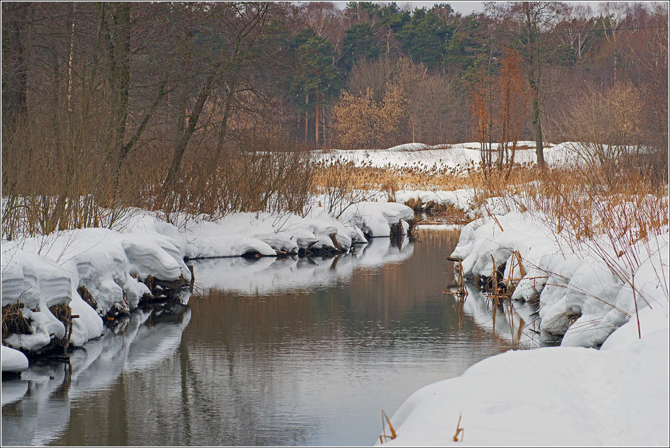 Кузьминский лесопарк, image of landscape/habitat.