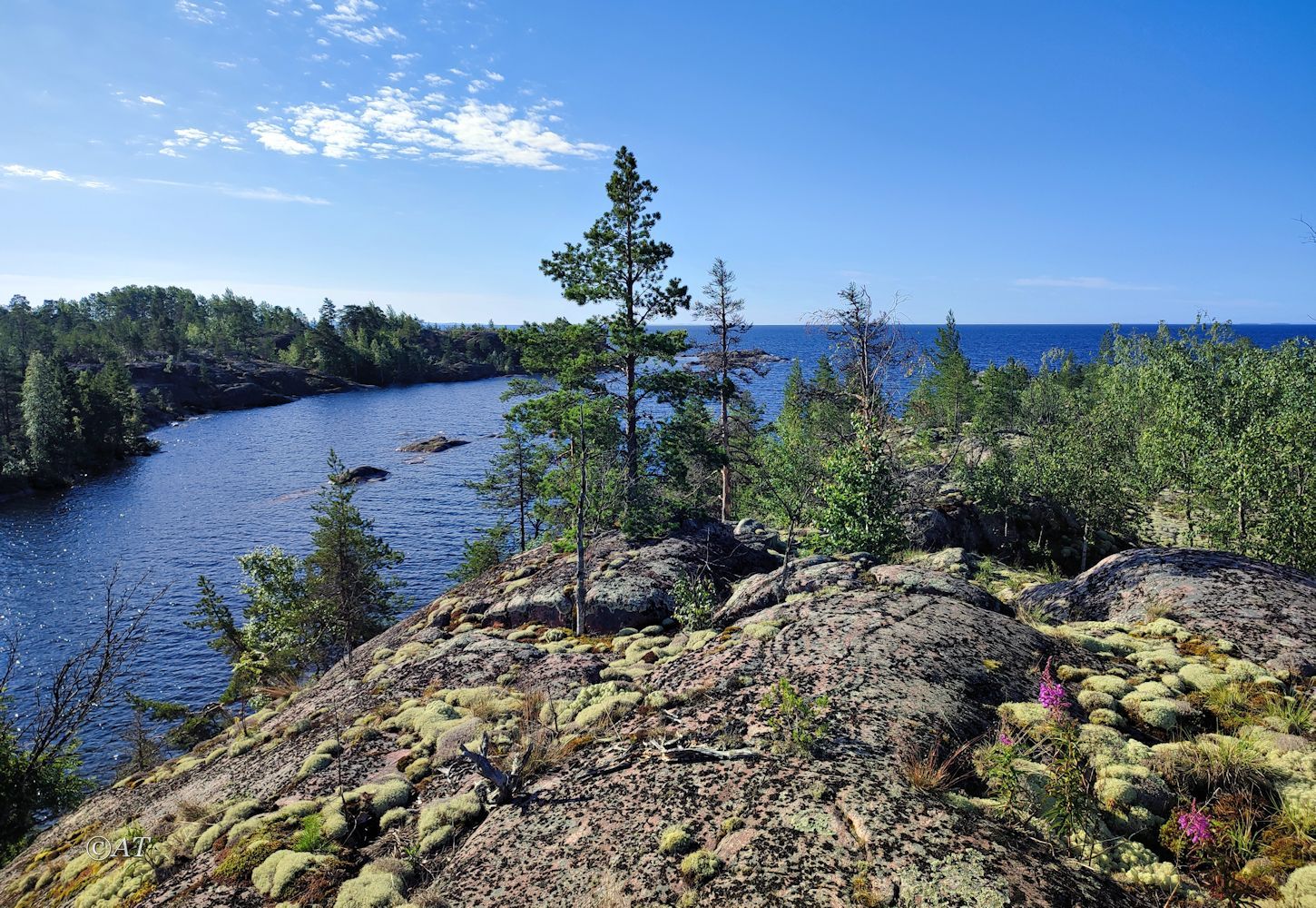 Остров Сюскюянсаари, image of landscape/habitat.