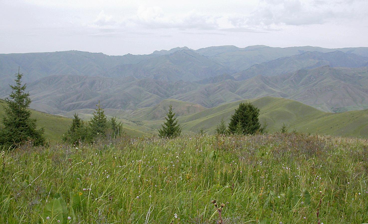 Туюк, image of landscape/habitat.