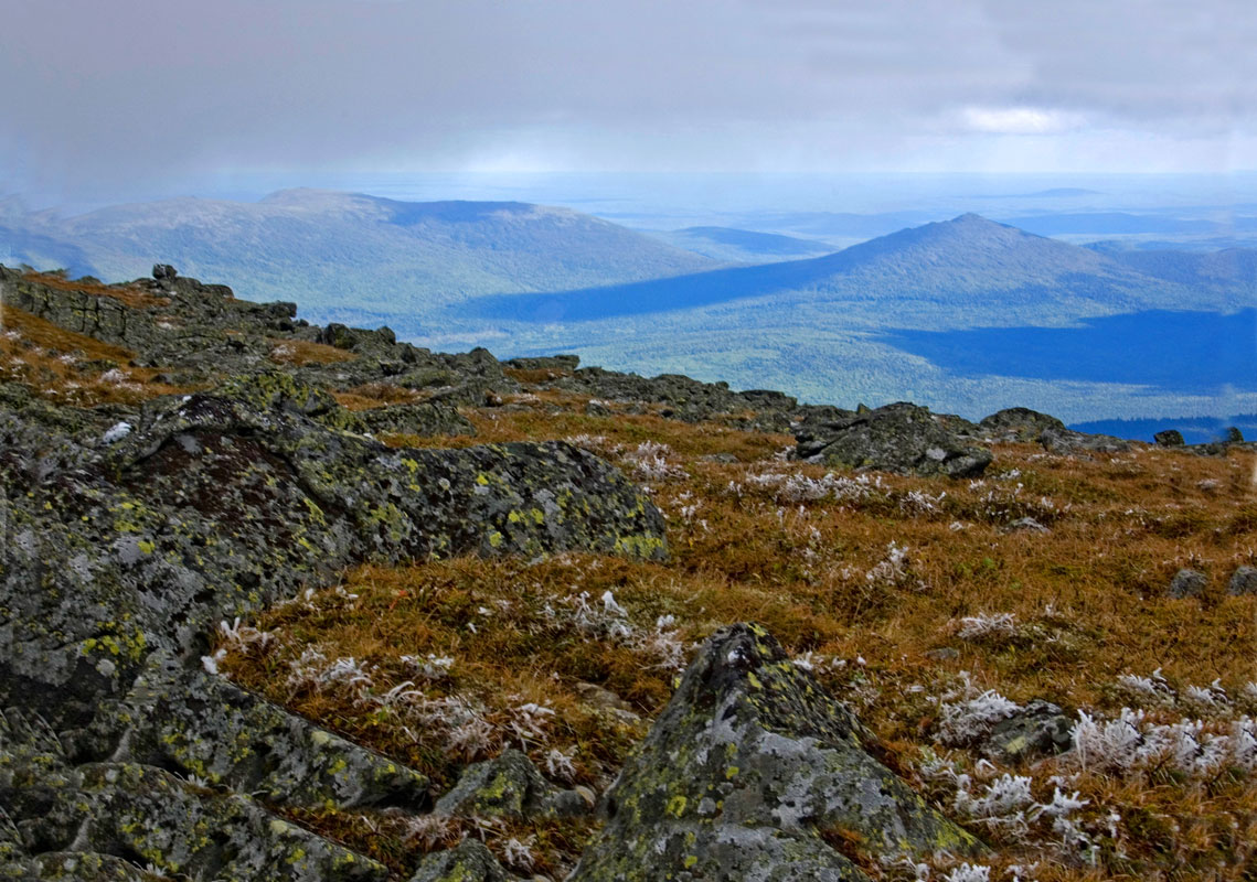 Окрестности поселка Кытлым, image of landscape/habitat.