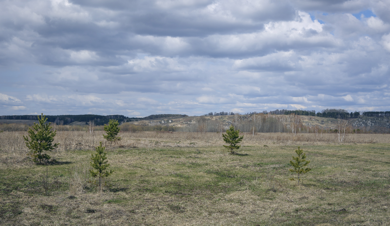 Спасская гора и её окрестности, image of landscape/habitat.