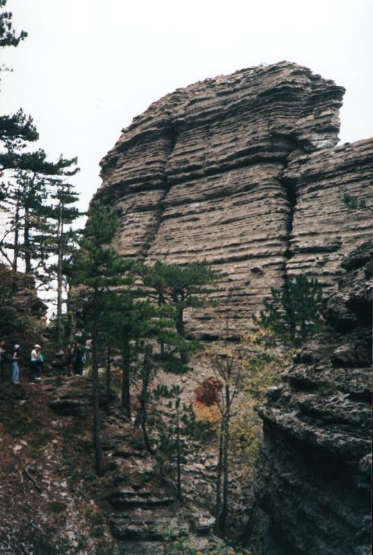 Таракташ, image of landscape/habitat.