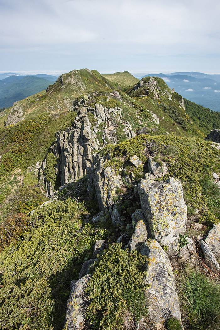 Массив горы Семиглавая, изображение ландшафта.