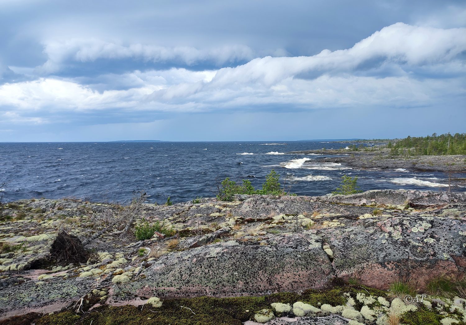 Остров Сюскюянсаари, image of landscape/habitat.